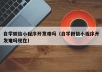 自学微信小程序开发难吗（自学微信小程序开发难吗现在）