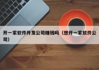 开一家软件开发公司赚钱吗（想开一家软件公司）