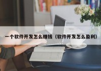 一个软件开发怎么赚钱（软件开发怎么盈利）